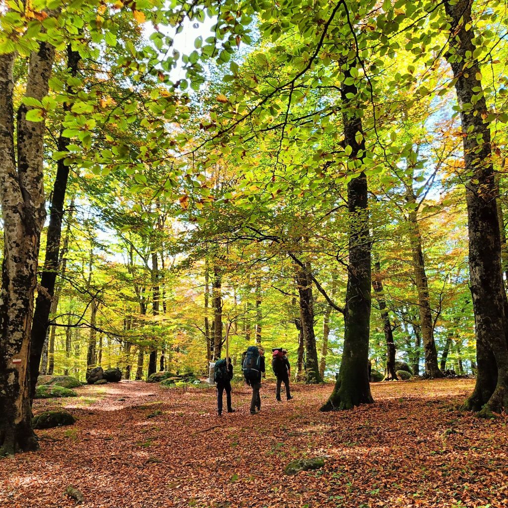 Strade Maestre_trekking